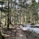 東電小屋 - 少し森の中を歩くと