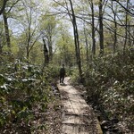 東電小屋 - 後はダラダラとまた木道を降りる気持ちのいいコースで