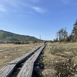 東電小屋 - 今年は更に暖冬だからもう満開かな
