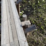 東電小屋 - 尾瀬は国立公園ですが全体の４割に当たる約１万６千ヘクタールは東電の所有で、木道も東電が整備してます。だから交換年とTEPCOの刻印が入っているんです