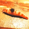 Sushi Etou - 