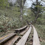 東電小屋 - 尾瀬に来る9割の方はここ山ノ鼻からバス乗り場のある鳩待峠までこんな道を歩きます。左横のベンチは唯一残る電柱を半分に切ったもの。そもそも、東電の持つ尾瀬の奥の水力発電所まで廃棄する電柱を半分に切って木道を敷けばいいと、したのが始まりなんだそうです