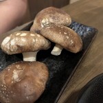 坂野商店 - しいたけ