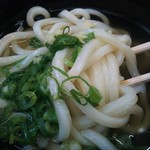 うどん あさの - 麺アップ　