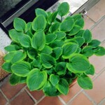 インディアンレストラン西麻布 by KENBOKKE - 