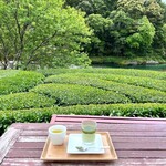 池川茶園 - 