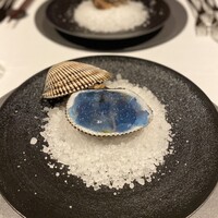 ニシデリア - 