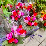 ジャン・フランソワ - 横浜ポルタ