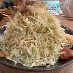 肉汁餃子のダンダダン - お特盛り山盛りキャベツ