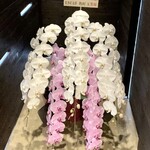 まき村 - ゴ・エ・ミヨ "ベストサービス・ホスピタリティ賞"受賞