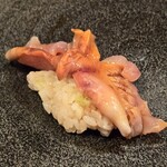 江戸心 山ぼうし - 