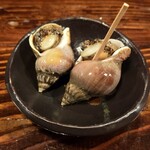 江戸心 山ぼうし - 