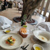 ジャヌ メルカート - 