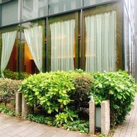 ポンドールイノ - 