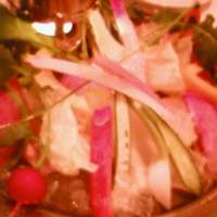 カーザ ヴィニタリア - 菜園風　季節野菜のカーザ・ヴィニタリアスタイル