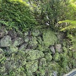 ゼルコバ コーヒー - 