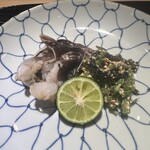 富小路 やま岸 - 