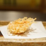 日本橋 蕎ノ字 - 桜海老かき揚げ
