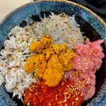 鎌倉海鮮や - 5色丼