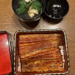 Unagi Hashimoto - 