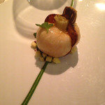 レフェルヴェソンス - 蕪