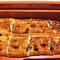 博多うなぎ屋 藤う那 - 