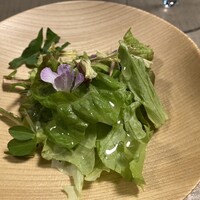 草片 - 