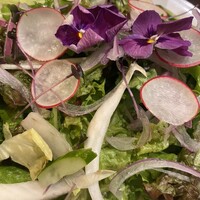 クッチーナ イタリアーナ アリア 六本木 - 