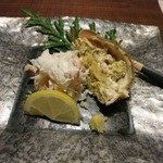 江差 旅庭 群来 - 