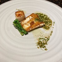 ニュー松坂 六本木店 - 