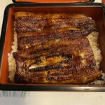 Unagi Ikeda - 