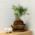 江戸そば マルノ - 内観