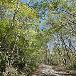 東電小屋 別館 - 最初は良かったけど変化もない飽きそうな林道を30分ひたすら歩き