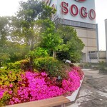 IL PINOLO SKY TERRACE - 横浜そごう・屋上庭園