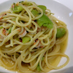 ビンデリーナ - 桜エビとフランス産そら豆