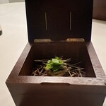 Installation Table ENSO L'asymetrie du calme - 