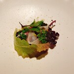 JIMGU - ビーツの一皿