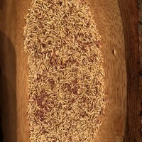 エディション・コウジ シモムラ - 