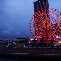 THE KOBECRUISE コンチェルト - 