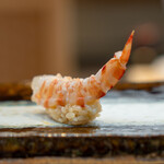 THE SUSHI TOKYO 旬 - 車海老