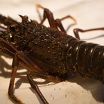 ル・マノアール・ダスティン - 