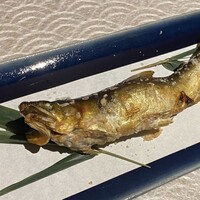 春鶯亭ひら - おまかせコース夏　