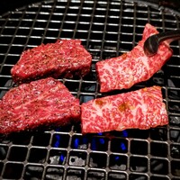 北新地焼肉 きらく - 