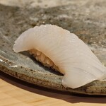 鮨 あかくら - アオリイカ