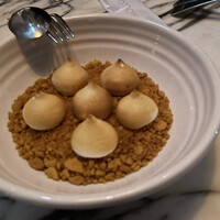 THE APOLLO - 