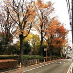 匠紀の国屋 国分寺店 - "殿ヶ谷庭園（開放公園区域）の紅葉"