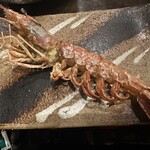 居酒屋 ちょーちょ - 