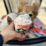 スターバックスコーヒー - 