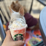 スターバックスコーヒー - 