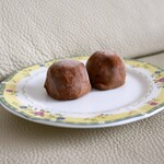 アンジェリック ヴォヤージュ - 